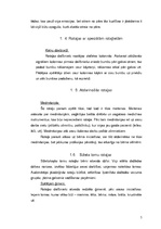 Referāts 'Rotaļu klasifikācija', 5.