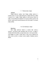 Referāts 'Rotaļu klasifikācija', 6.