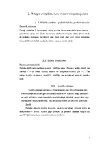 Referāts 'Rotaļu klasifikācija', 7.