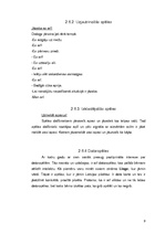 Referāts 'Rotaļu klasifikācija', 9.