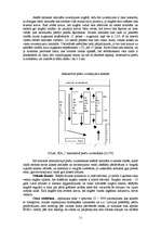 Referāts 'Tirdzniecības darba organizēšana un attīstīšana', 11.
