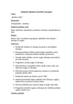 Konspekts 'Kvalifikācijas eksāmens', 3.