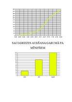 Referāts 'Saulgrieze', 6.