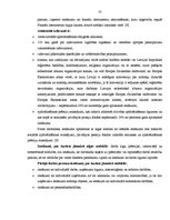 Prakses atskaite 'Prakses atskaite', 25.