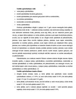 Prakses atskaite 'Prakses atskaite', 31.