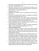 Prakses atskaite 'Prakses atskaite', 32.