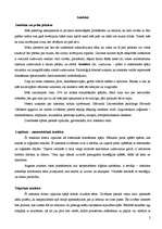 Konspekts 'Intelekts', 2.