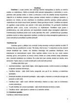 Konspekts 'Intelekts', 4.