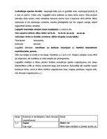 Konspekts 'Logopēdiskā traucējuma analīze', 2.