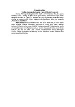 Konspekts &#039;Nikolajs Gogolis&#039;, 6.