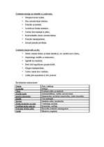 Referāts 'Direktora uzvedības stils', 7.