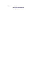 Referāts 'Direktora uzvedības stils', 10.