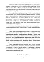 Referāts 'Pirkumu un norēķinu iespējas internetā', 16.