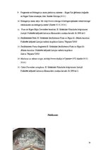 Referāts 'Dievmātes tēls Latvijas viduslaiku mākslā', 14.