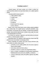 Konspekts 'Celiakija', 5.