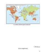 Referāts 'Pārtikas piedevas, uztura bagātinātāji', 18.