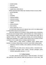 Referāts 'Vadītājs un vadītāja loma uzņēmuma darbībā', 6.