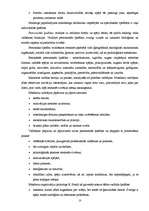 Referāts 'Vadītājs un vadītāja loma uzņēmuma darbībā', 10.