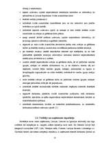 Referāts 'Vadītājs un vadītāja loma uzņēmuma darbībā', 16.