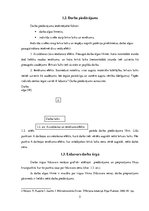 Referāts 'Darba tirgus mikroekonomiskā analīze. Balvu novads', 5.