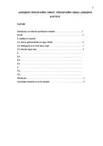 Referāts 'Aprēķini vērtspapīru tirgū', 2.