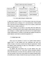 Referāts 'Aprēķini vērtspapīru tirgū', 7.