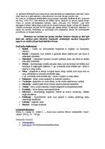 Konspekts 'Renesanses mūzika', 2.