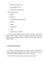Referāts 'Elektrokardiogrammas', 17.