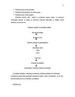 Referāts 'Loģistika uzņēmumā SIA "Dukāts" (novertēts uz 9)', 17.