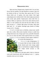 Referāts 'Egle', 7.