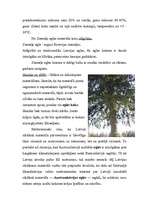 Referāts 'Egle', 14.