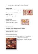 Referāts 'Egle', 15.