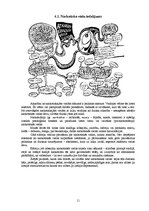 Referāts 'Noziedznieka portrets. Teroristu uzvedība', 11.