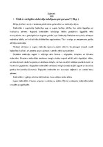 Konspekts 'Stiebrzāļu iedalījums', 2.