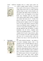 Konspekts 'Stiebrzāļu iedalījums', 10.