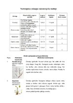 Konspekts 'Stiebrzāļu iedalījums', 14.