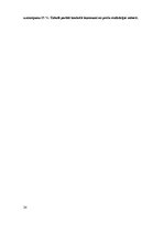 Referāts 'SIA "Ķīšezera aptieka" izveides iespējas Rīgas Ziemeļu rajonā - Jaunciemā', 24.