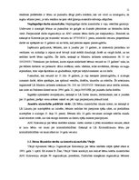 Referāts 'Bērnu tiesību aizsardzības nodrošināšana', 10.