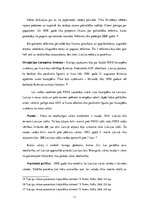 Referāts 'Latvijas Republikas neatkarības atjaunošana 1991.gadā', 11.