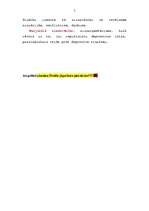 Referāts 'Psiholoģiskie aizsargmehānismi', 7.