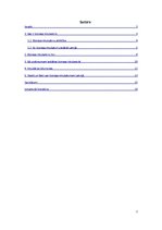 Referāts 'Biznesa inkubators', 2.