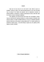 Referāts 'Biznesa inkubators', 3.