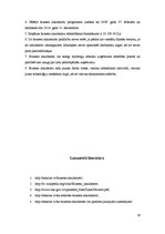 Referāts 'Biznesa inkubators', 16.