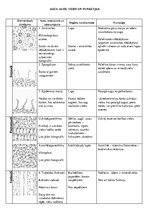 Konspekts 'Augu audu veidi un funkcijas', 1.