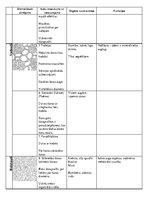 Konspekts 'Augu audu veidi un funkcijas', 2.
