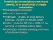 Prezentācija 'Deviance. Prostitūcija', 14.