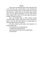 Referāts 'Konflikti organizācijā', 3.