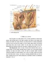 Referāts 'Matiņu likvidēšana', 7.