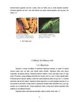 Referāts 'Matiņu likvidēšana', 9.