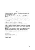 Referāts 'Sporta veidi', 4.